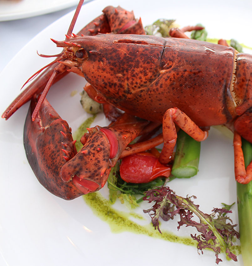 Création des sites internet / web, photographie & vidéo - Sion - Martigny - Sierre - Valais